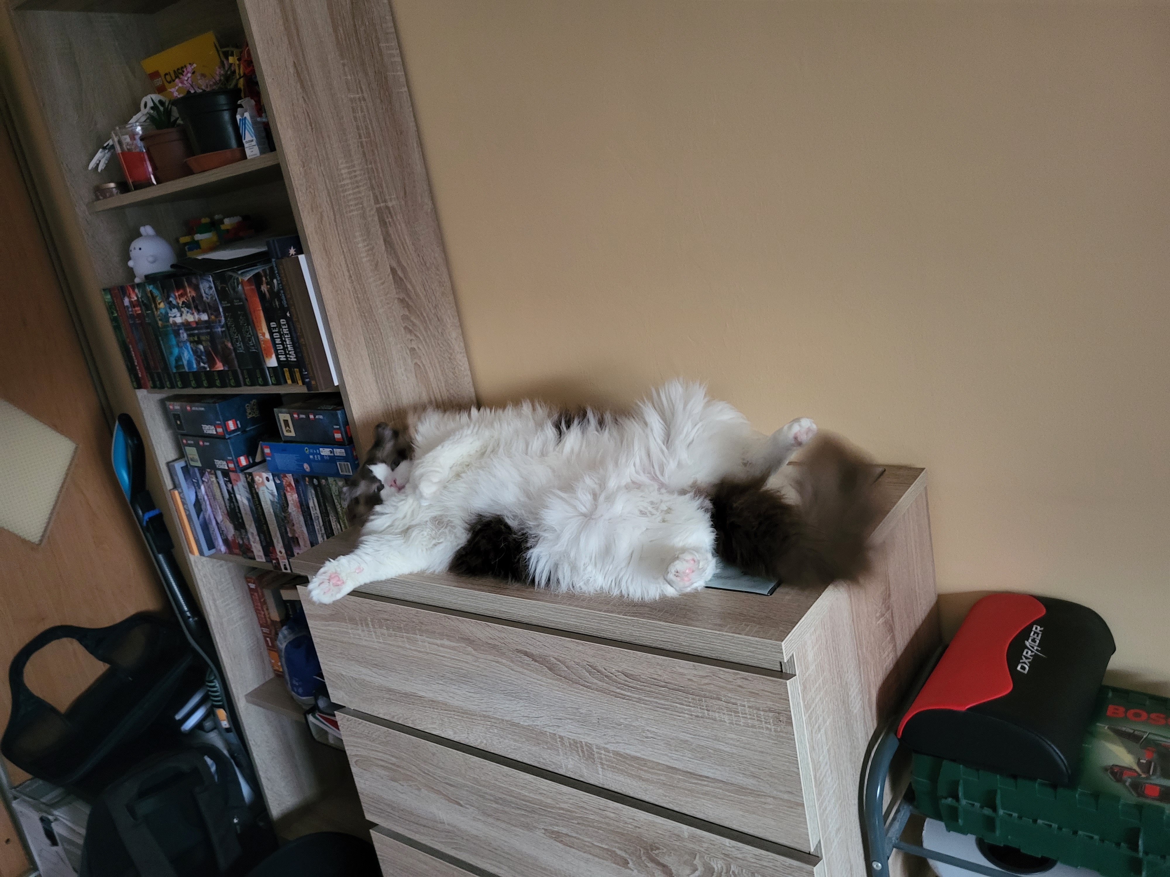 /images/Galeria/Képek gazdiktól (Pictures from owners)/20230217_160944.jpg